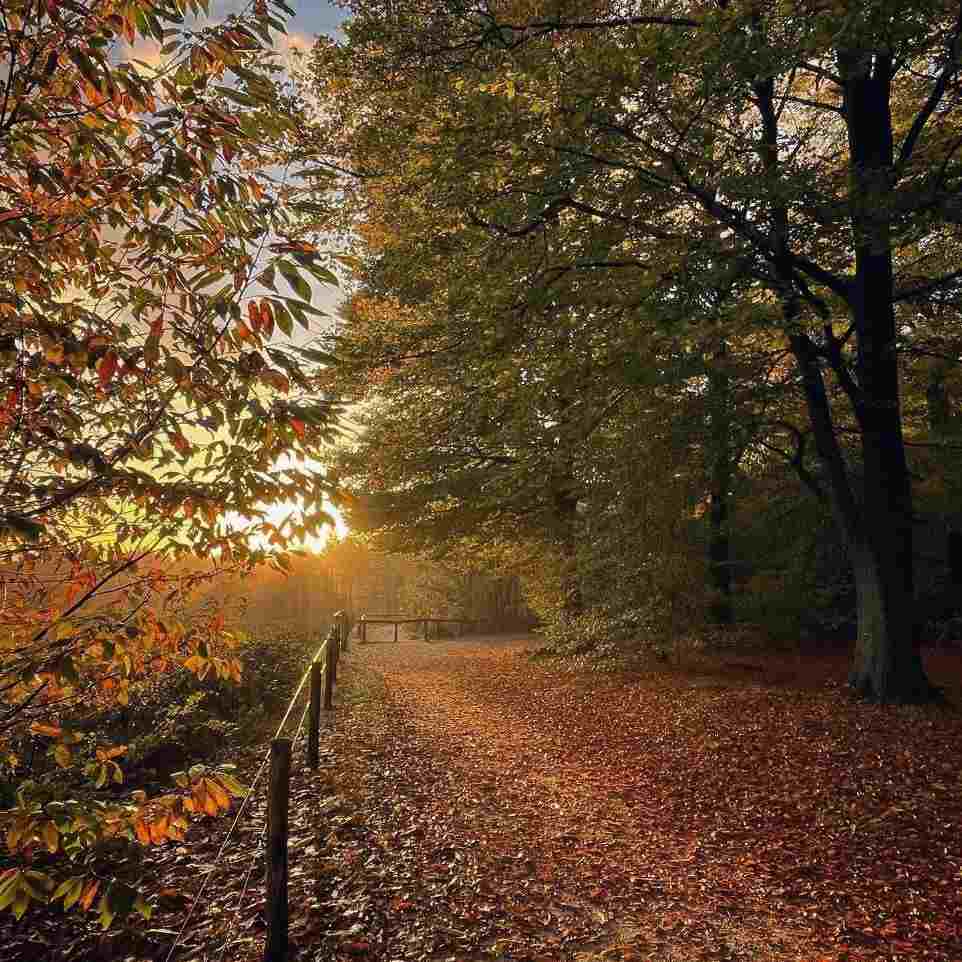 آهنگ جدید  دل من قفل شده و معطل یه کلیده + ریمیکس